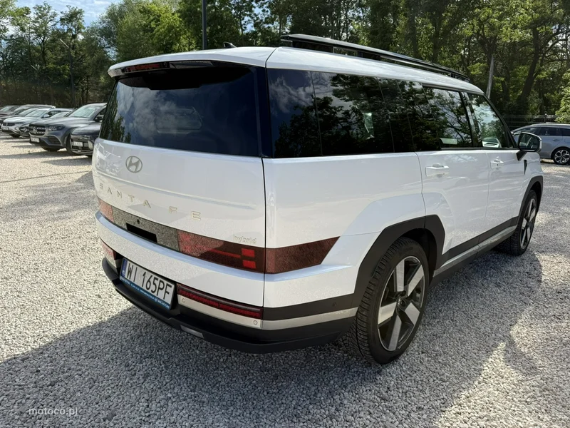 Hyundai SANTA FE 13