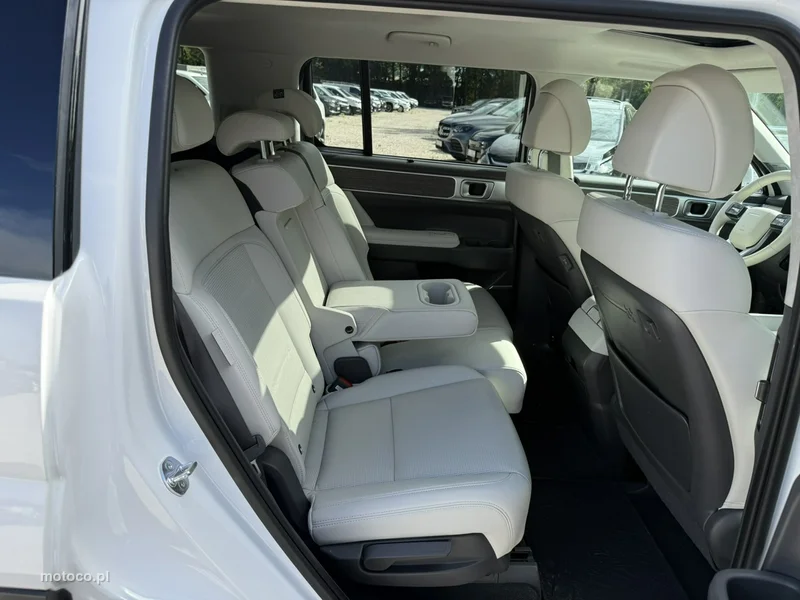 Hyundai SANTA FE 15