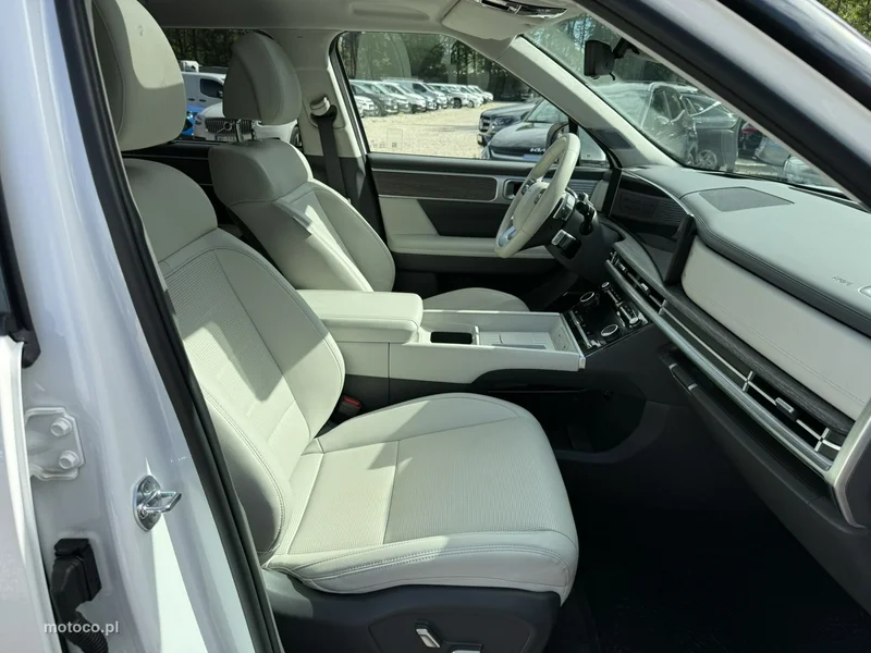 Hyundai SANTA FE 19