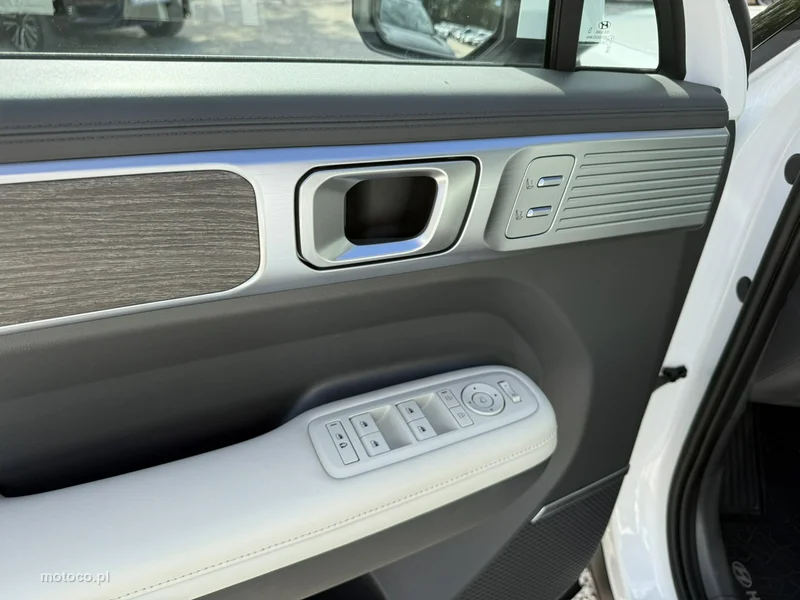Hyundai SANTA FE 21