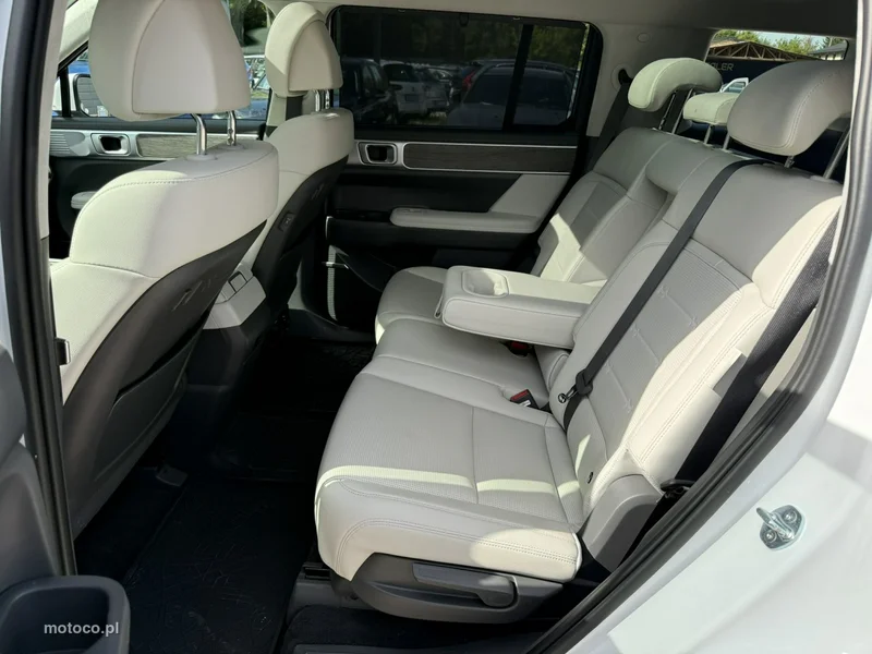 Hyundai SANTA FE 31
