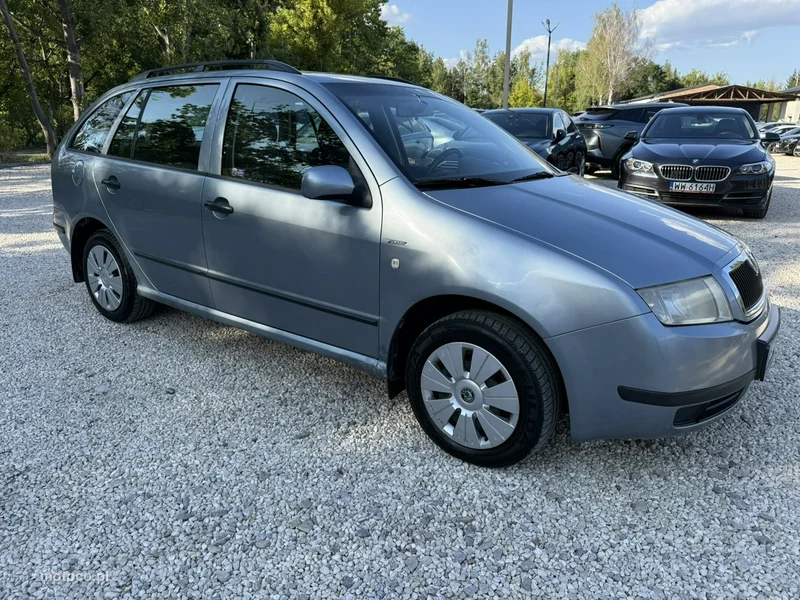 Skoda Fabia I 19