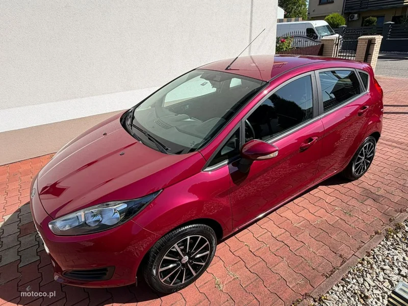 Ford Fiesta VI 13