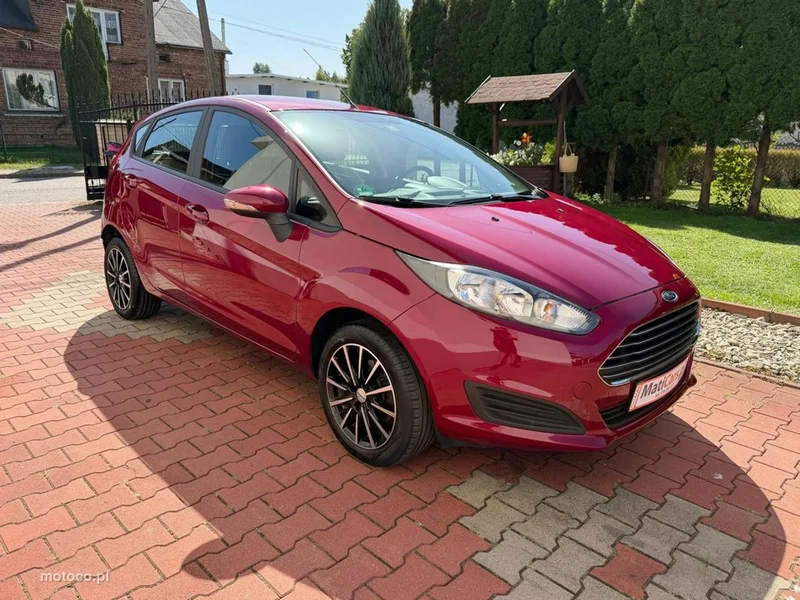 Ford Fiesta VI 10