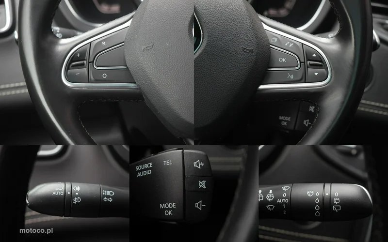 Renault Grand Scenic III 19