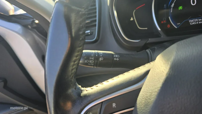 Renault Grand Scenic III 22