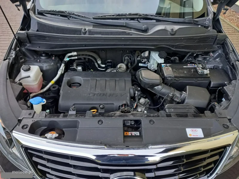 Kia Sportage 16