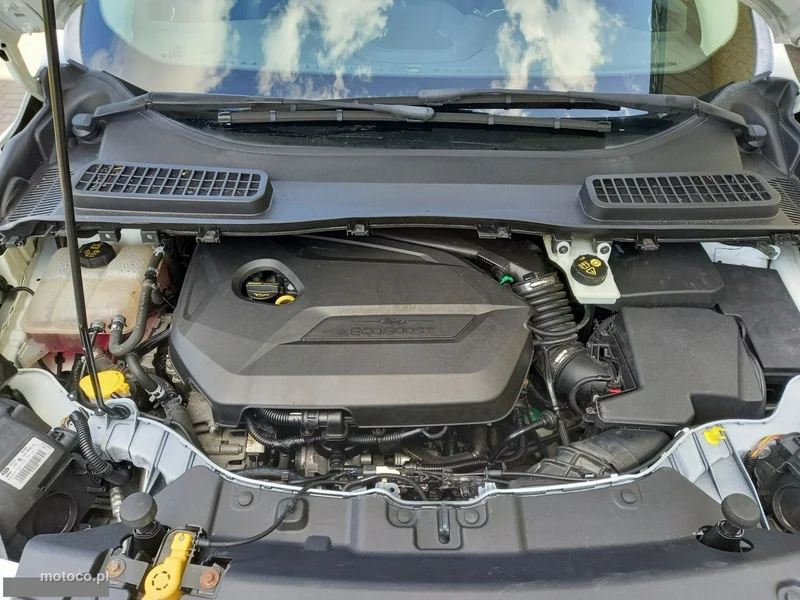 Ford Kuga II 16
