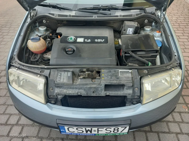 Skoda Fabia I 17