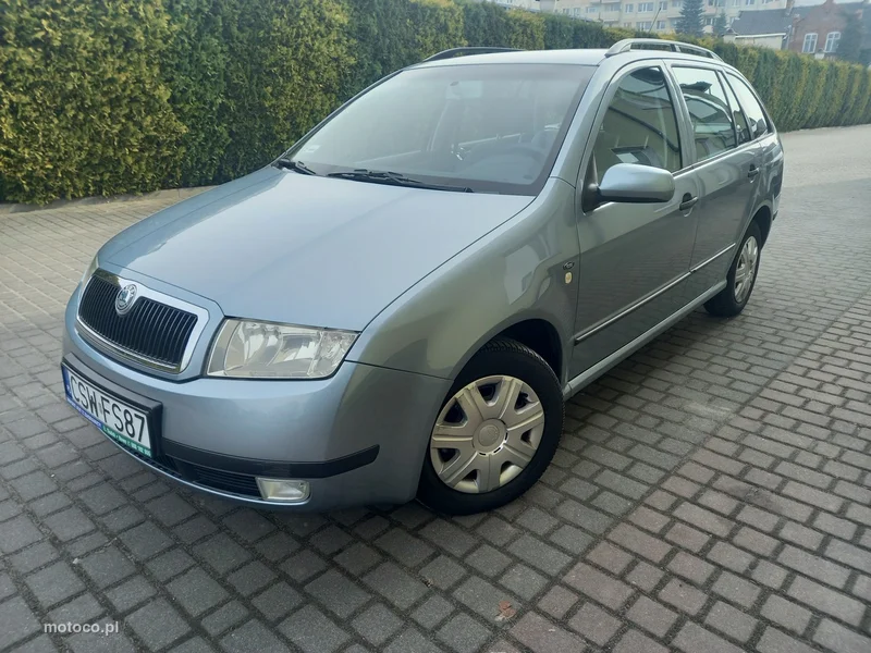 Skoda Fabia I 3