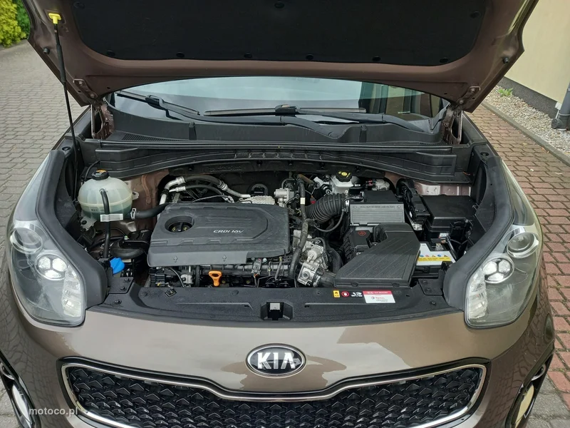 Kia Sportage 13