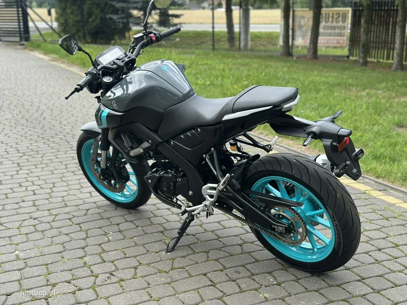 Yamaha MT 6