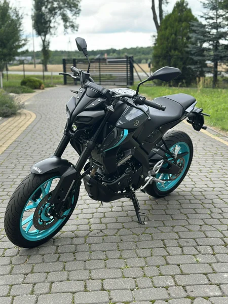 Yamaha MT 20