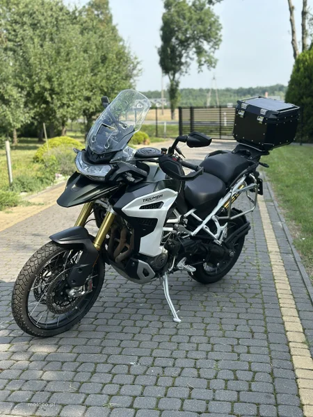 Triumph Tiger 11