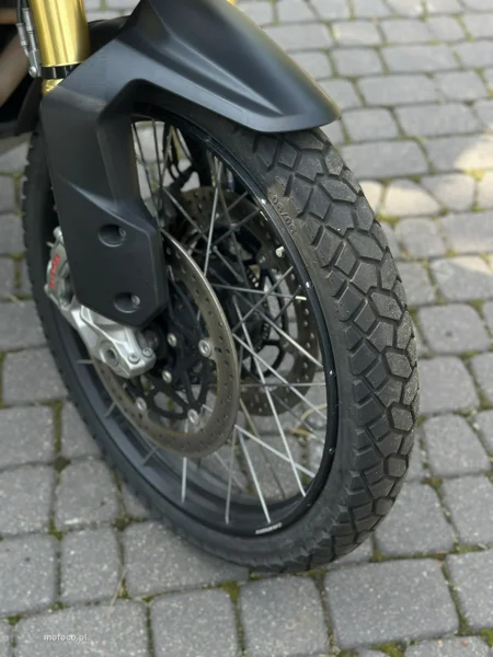 Triumph Tiger 13