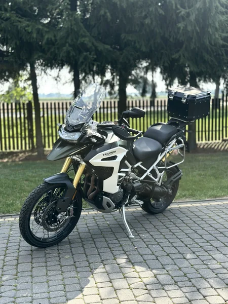 Triumph Tiger 17