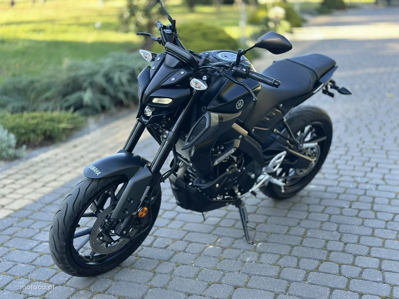 Yamaha MT 7