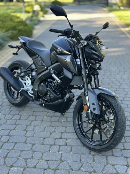 Yamaha MT 8