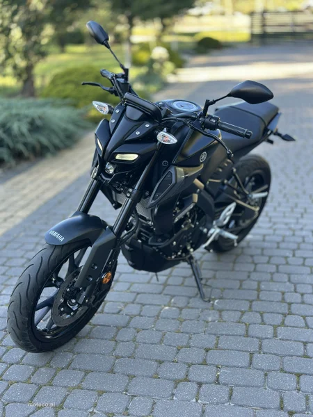 Yamaha MT 17