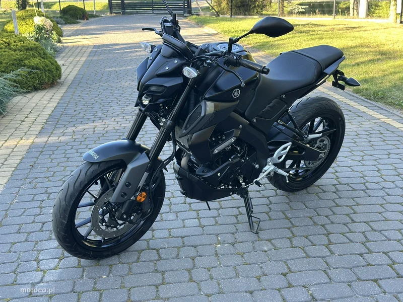 Yamaha MT 19
