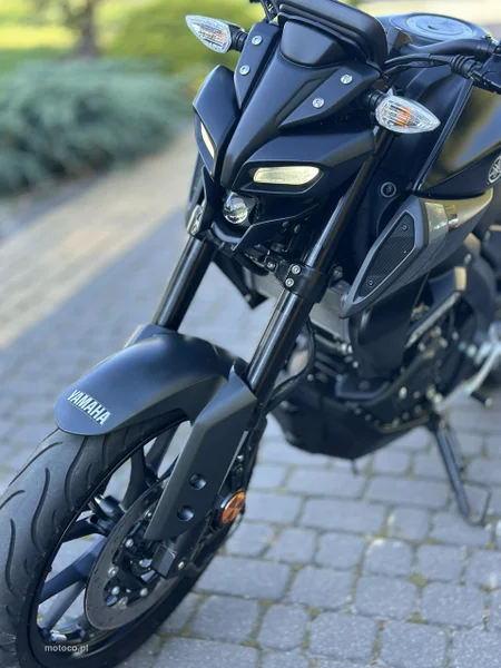 Yamaha MT 21
