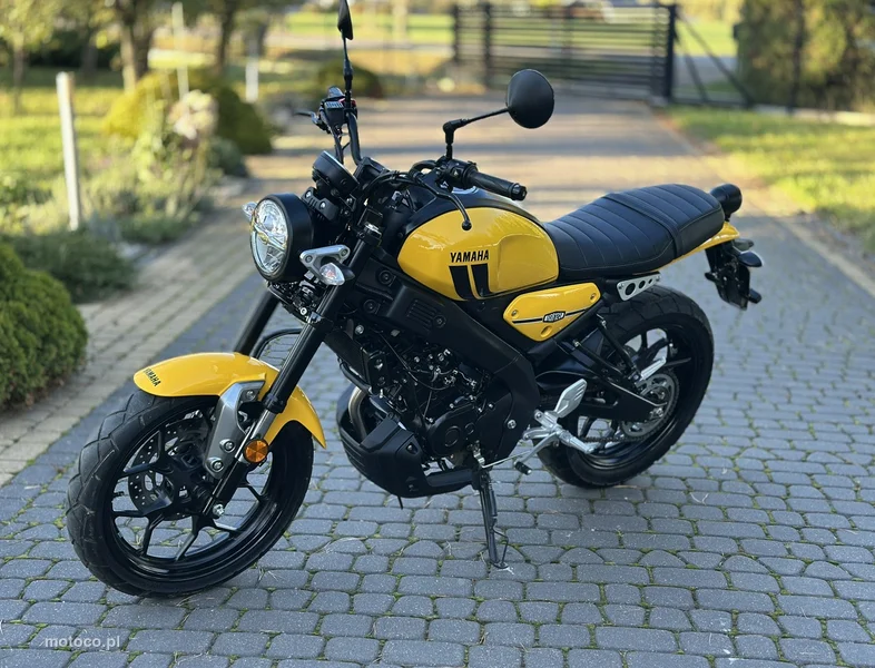 Yamaha XSR 8