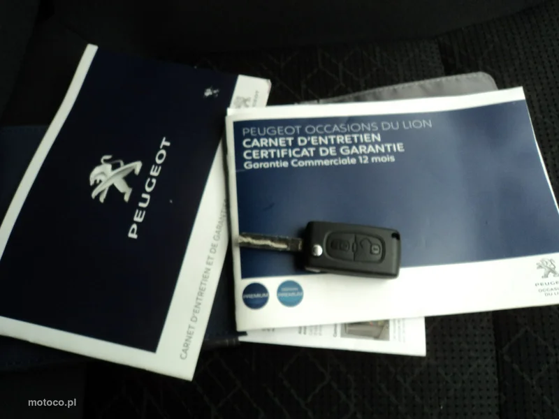 Peugeot 3008 18