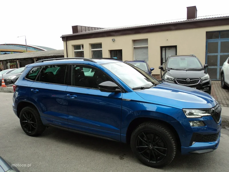 Skoda Karoq I 3