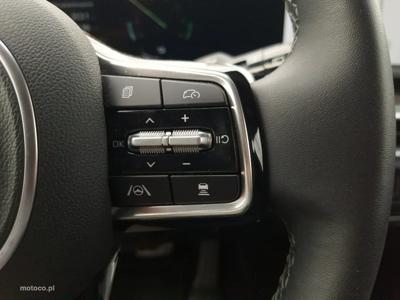 Kia Sorento 18