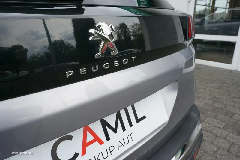 Peugeot 3008 25