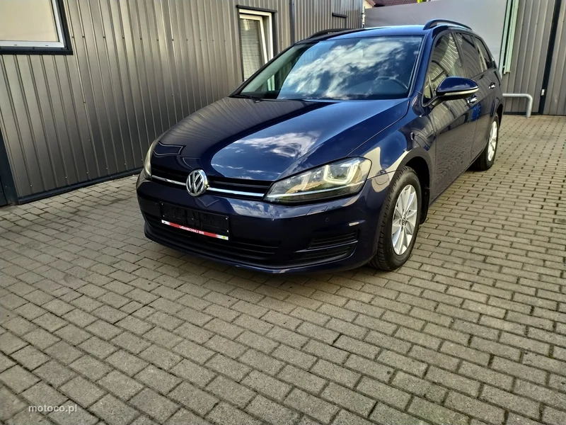 Volkswagen Golf VII 2
