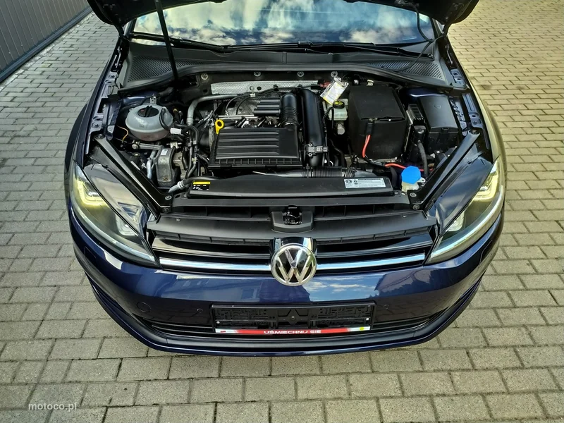 Volkswagen Golf VII 11