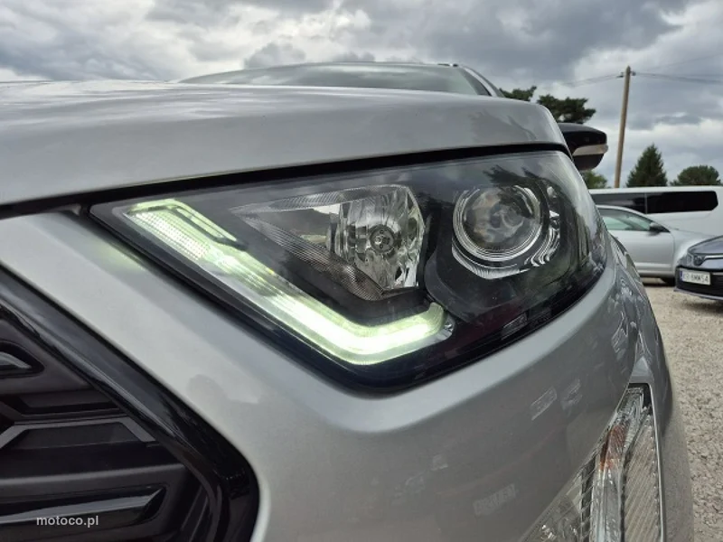 Ford EcoSport 7