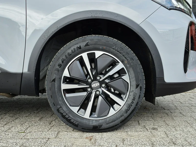 Chery Tiggo 4 9