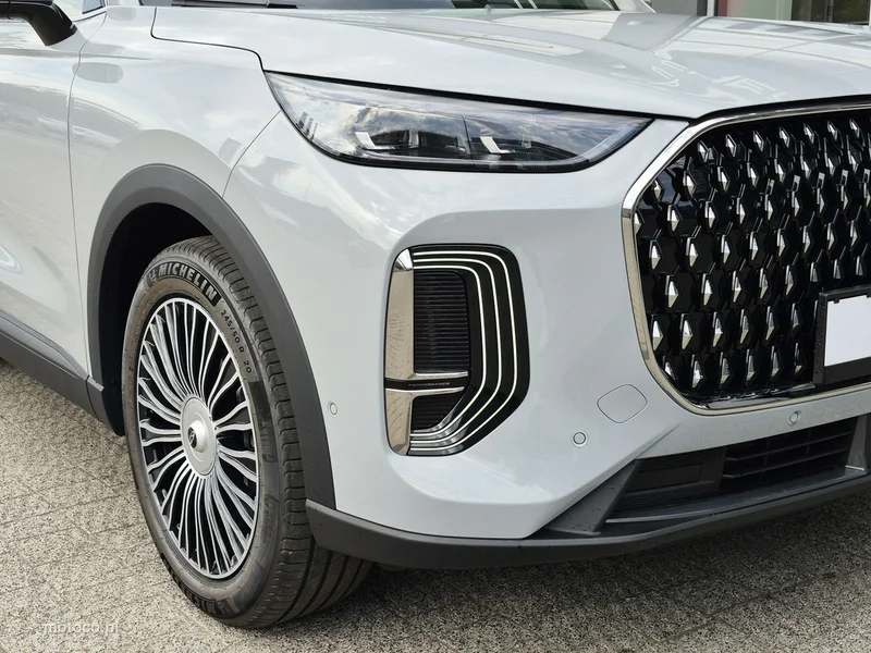 Chery Tiggo 9 14