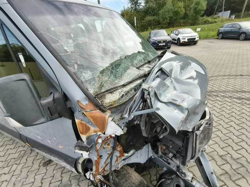 Mercedes-Benz Sprinter 21
