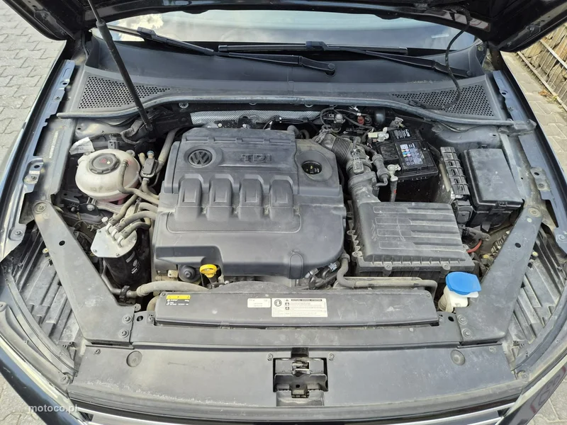 Volkswagen Passat B8 19