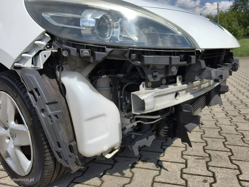 Renault Scenic III 18