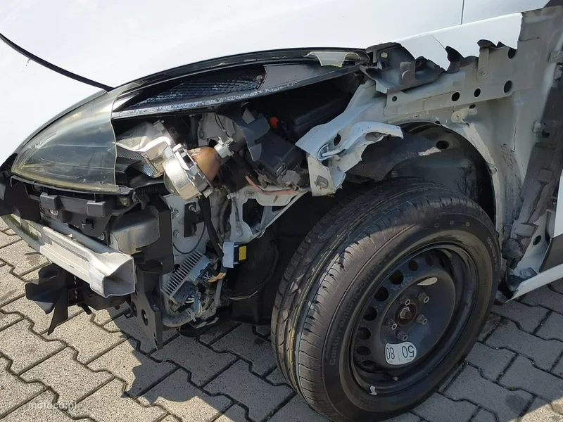 Renault Scenic III 20