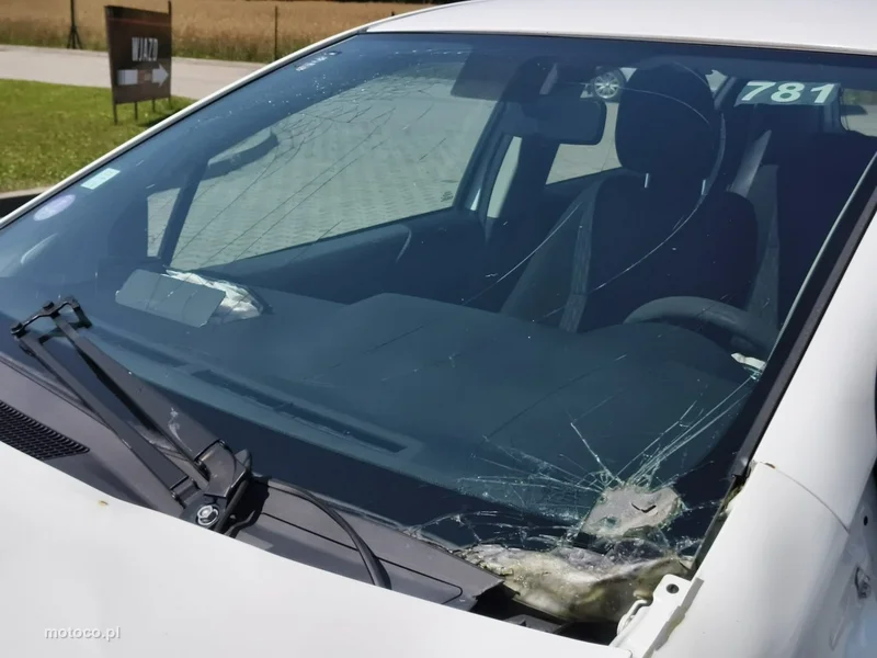 Toyota Yaris XP130 25