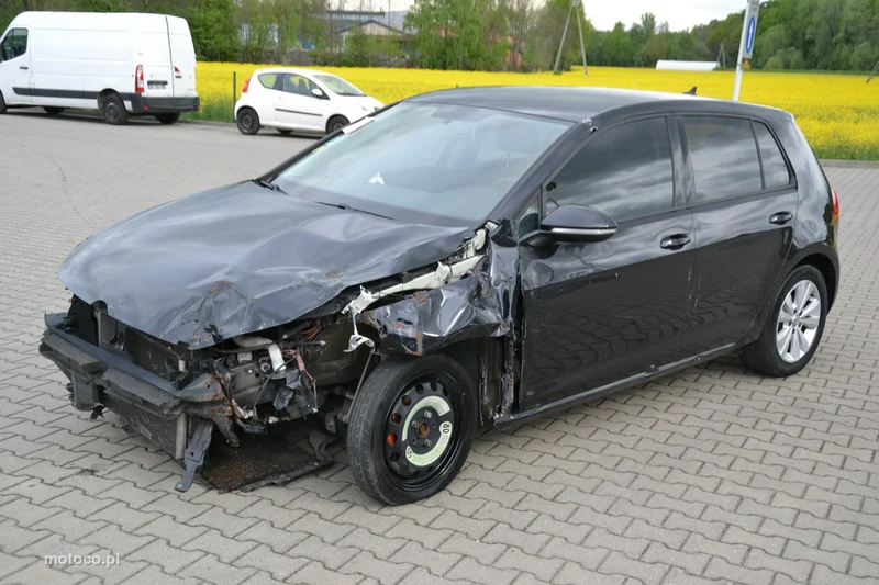Volkswagen Golf VII 3