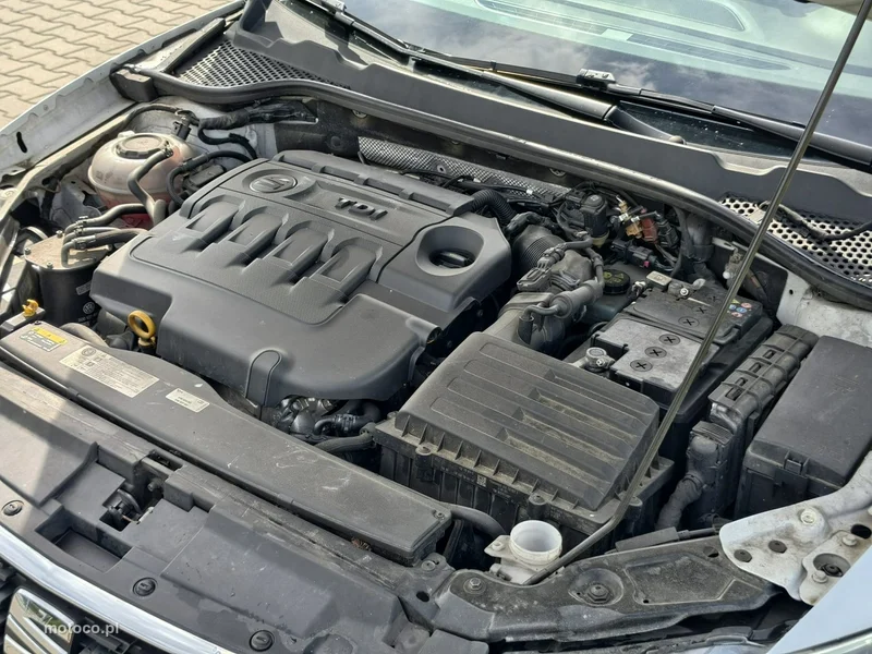 Seat Leon 30