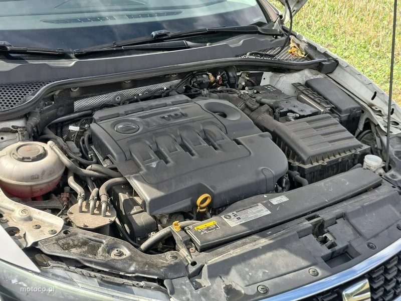 Seat Leon 31