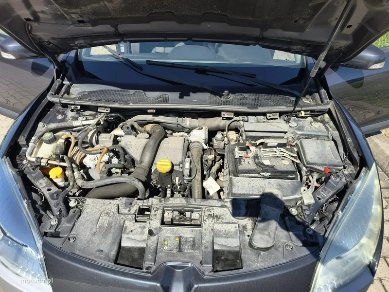 Renault Megane III 19