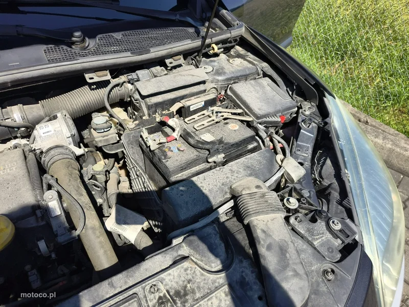Renault Megane III 20
