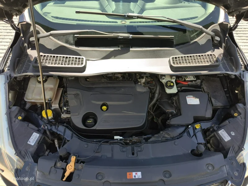 Ford Kuga II 23