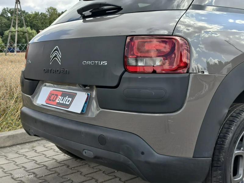 Citroen C4 Cactus 19