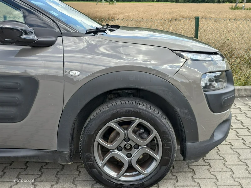 Citroen C4 Cactus 23