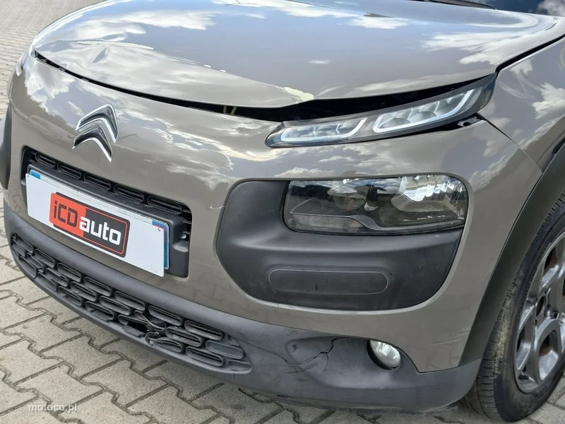 Citroen C4 Cactus 28