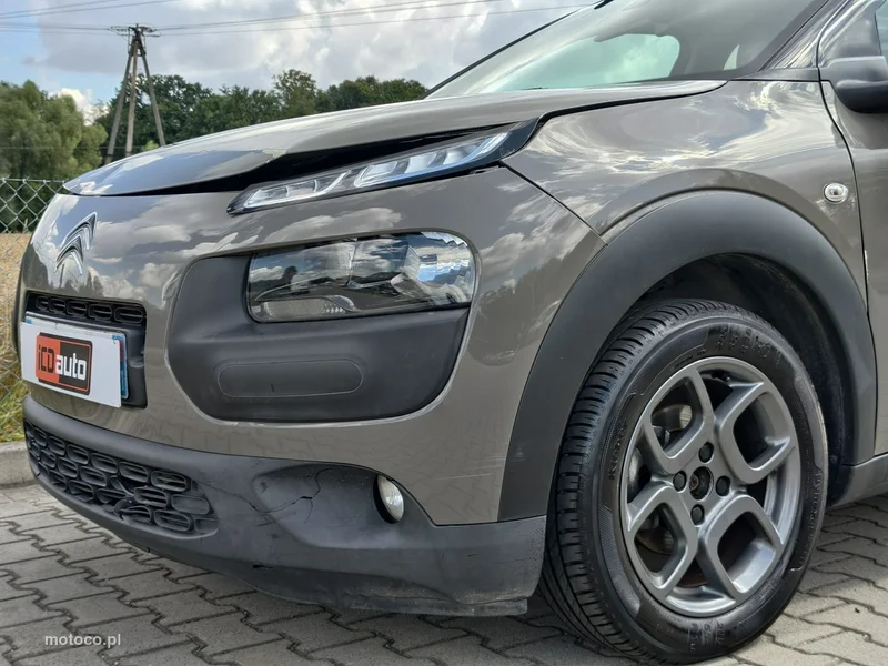 Citroen C4 Cactus 29